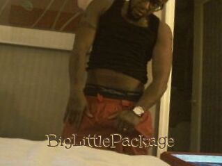 BigLittlePackage