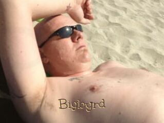 Bigbyrd