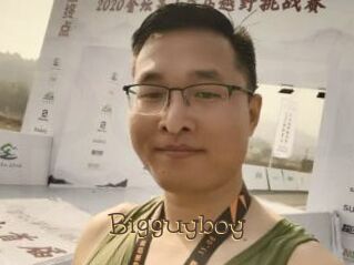Bigguyboy