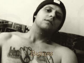 Bignois