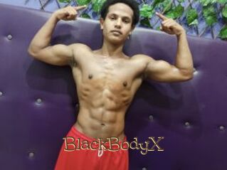 BlackBodyX