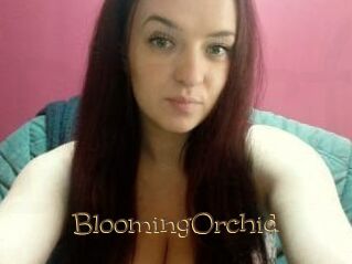 BloomingOrchid Porno FR