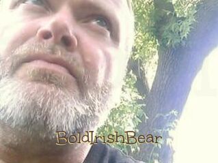 BoldIrishBear