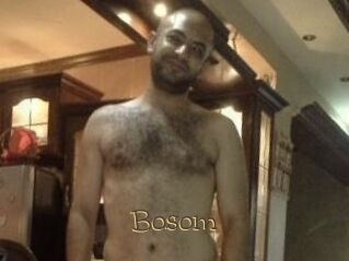Bosom