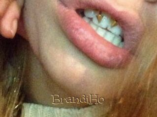 BrandiHo