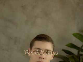 BredCollins