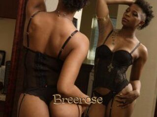 Breerose