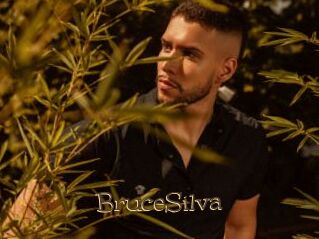 BruceSilva