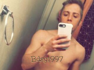 Bdsg1997
