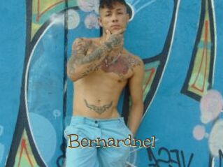 bernardnel Porno FR