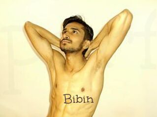 Bibin