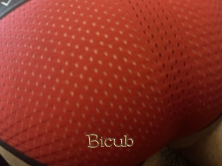 Bicub