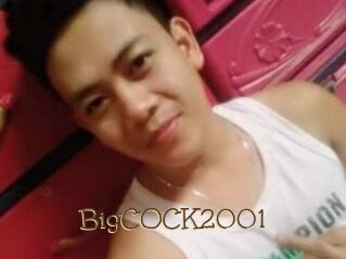 BigCOCK2001