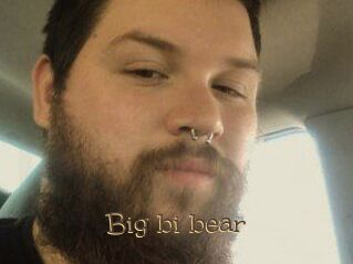 Big_bi_bear