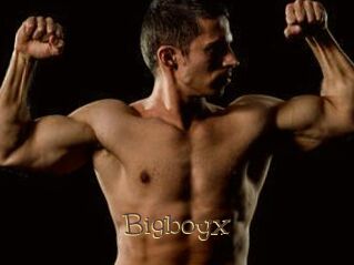 Bigboyx