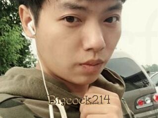 Bigcock214