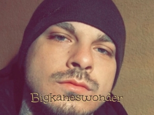 Bigkaneswonder