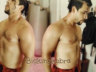 Bigkingkobra