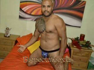 Bigpectatooxu