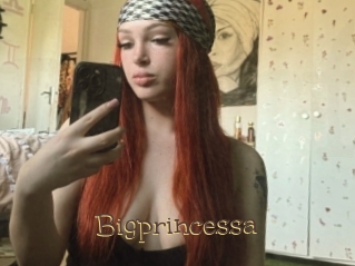 Bigprincessa