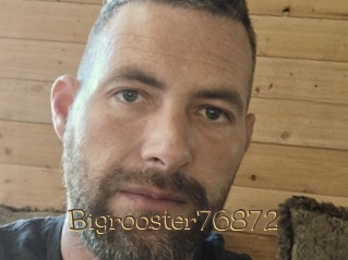 Bigrooster76872