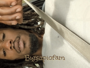 Bigsapiofam