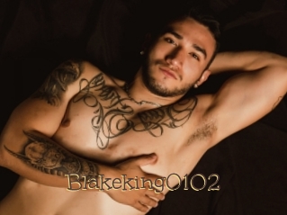 Blakeking0102