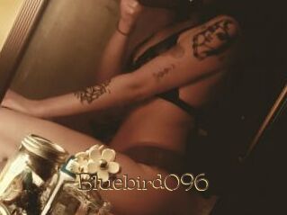 Bluebird096