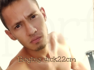 Boybig_dick22cm
