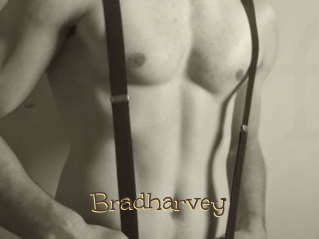 Bradharvey