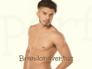 Brandonaventus