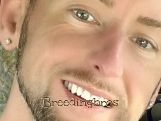 Breedingbros
