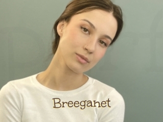 Breeganet