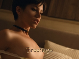 Breehays