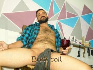 Brett_colt