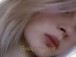 Bridgetalkins