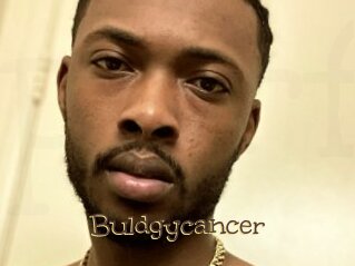 Buldgycancer