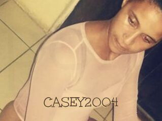 CASEY2004