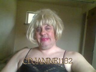 CDJANINE1182