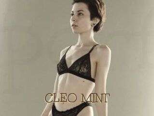 CLEO_MINT