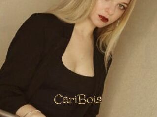 CariBois