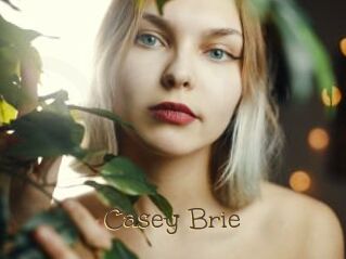 Casey_Brie Porno FR