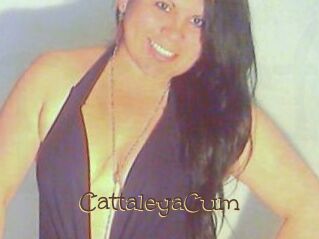CattaleyaCum