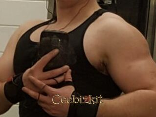 Ceebizkit