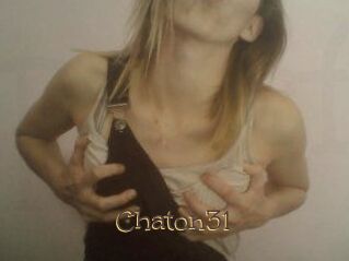 Chaton31