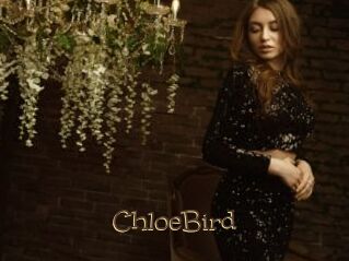 ChloeBird