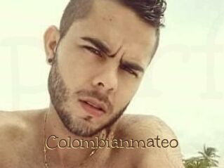 Colombian_mateo