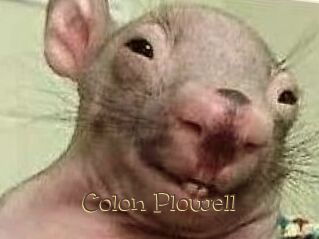 Colon_Plowell