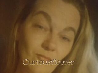 Curiousflower