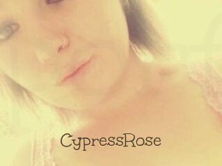 Cypress_Rose